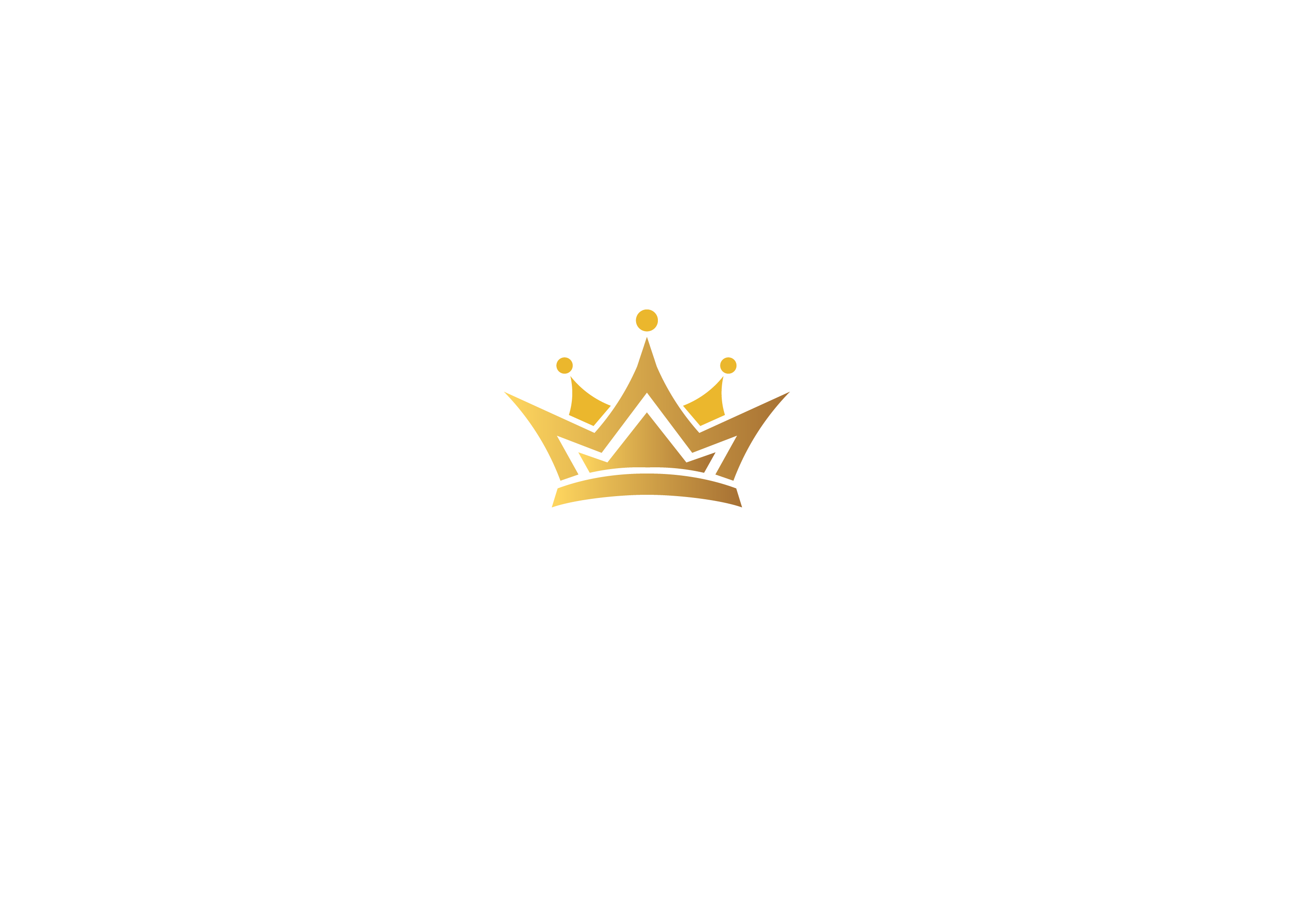 TikTok Shop Empire
